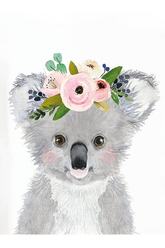 5f93253103017_koala lamina.jpg